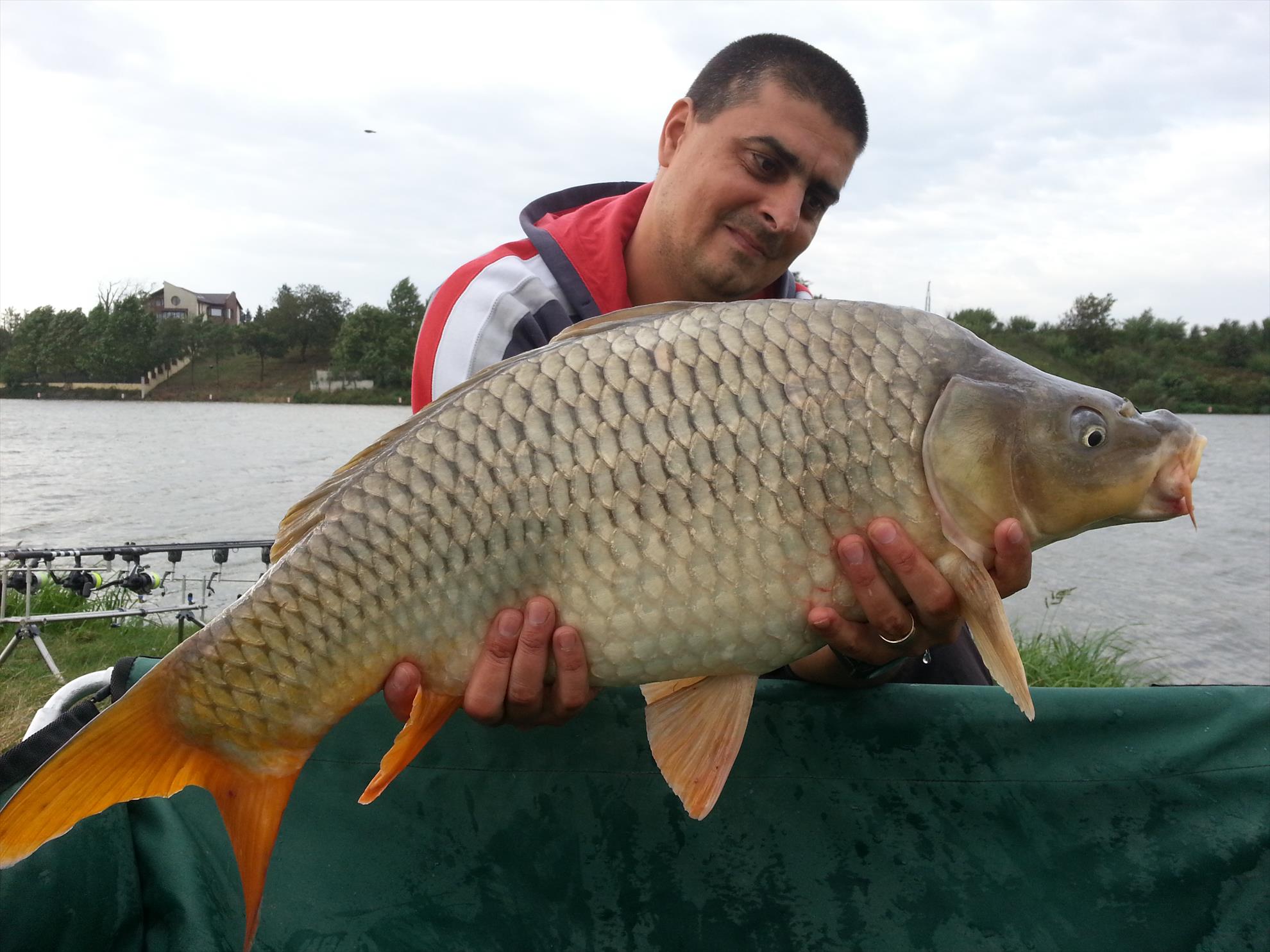 Moara Vlasiei 2 5 septembrie 2014 - 20140905090314.jpg